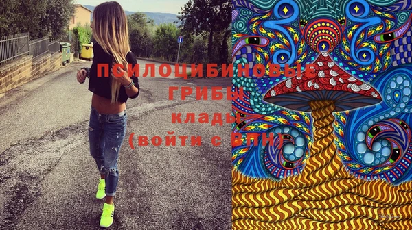 наркотики Алексин