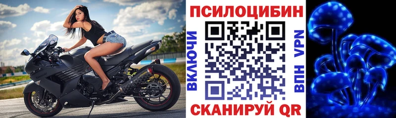Галлюциногенные грибы прущие грибы  Пролетарск 